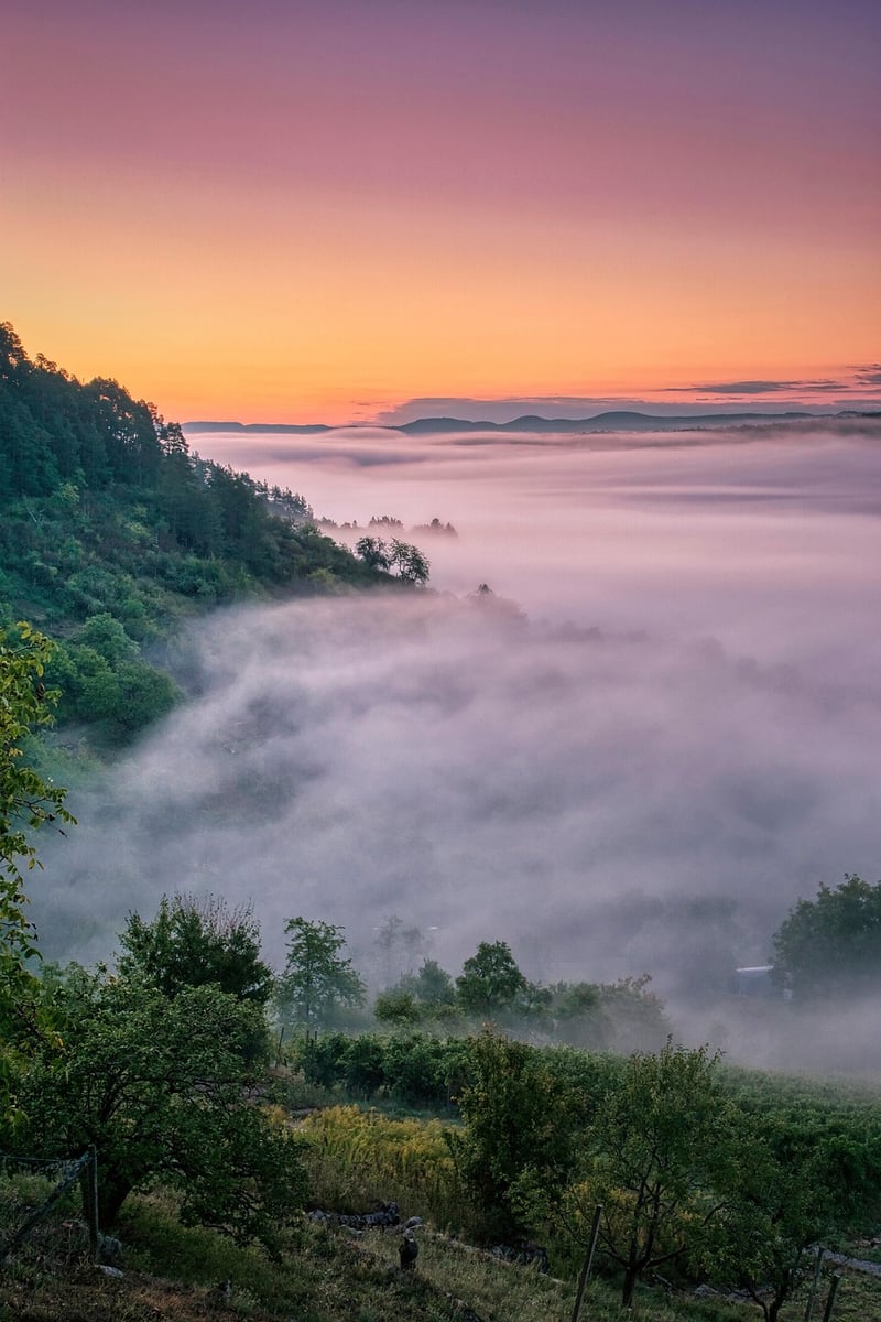 Mystical Landscape